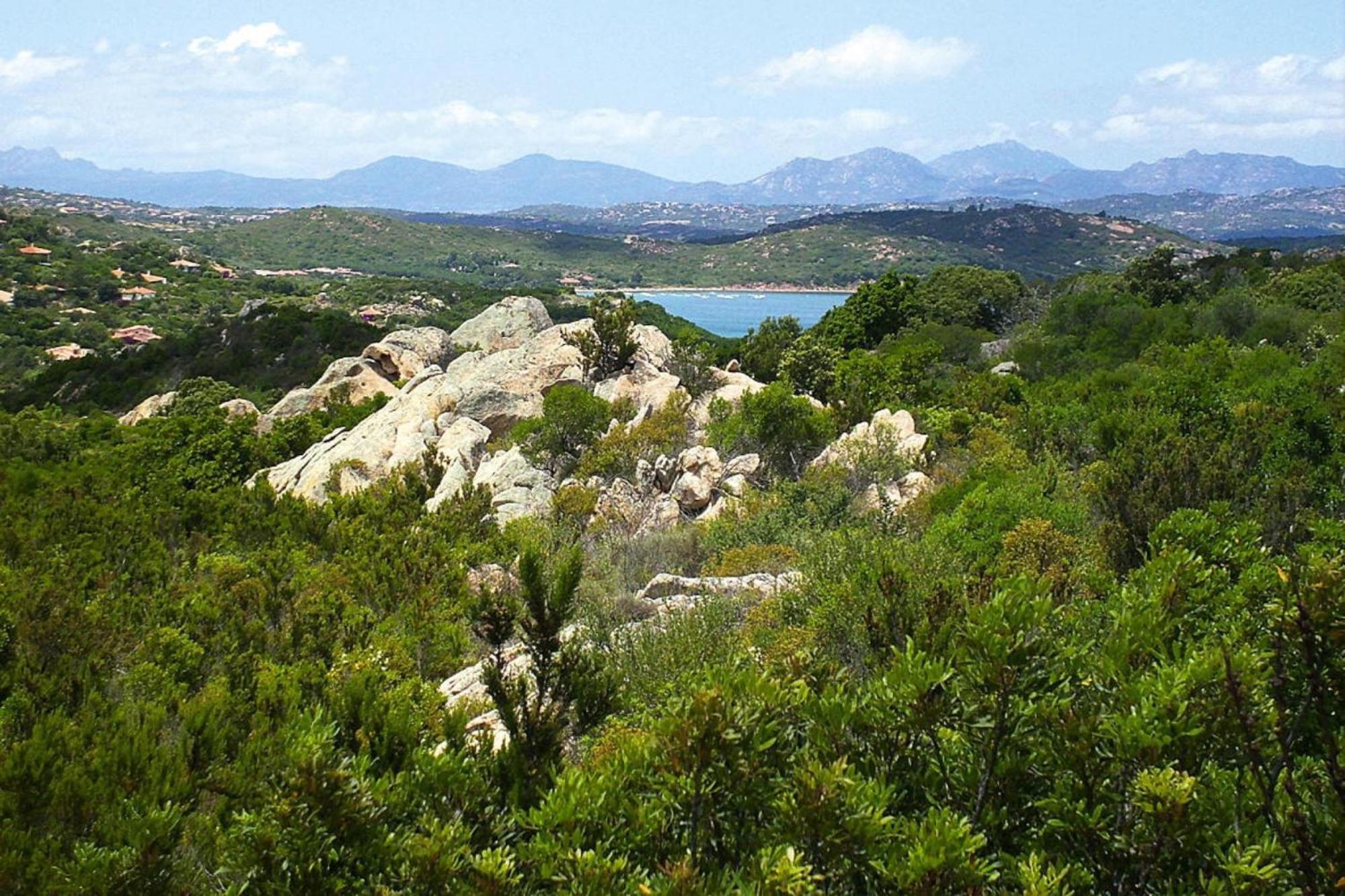 Residence La Tartaruga Monte Petruso San Teodoro San Teodoro  Zewnętrze zdjęcie