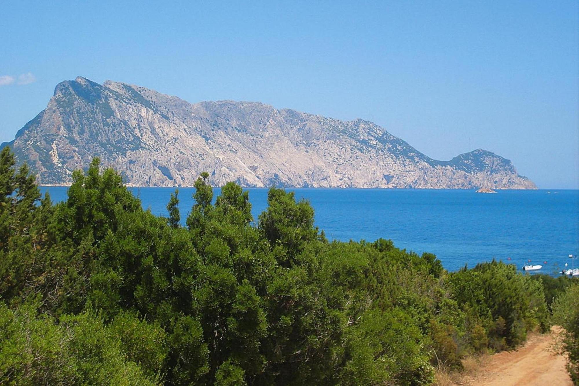 Residence La Tartaruga Monte Petruso San Teodoro San Teodoro  Zewnętrze zdjęcie